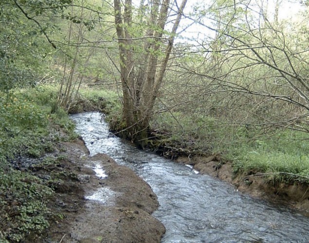 Circuit pédestre : Les Templiers