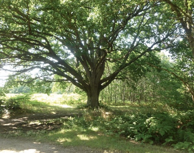 LeBelvedere- Portes-de-la-Creuse-en-Marche09.40.jpg_1