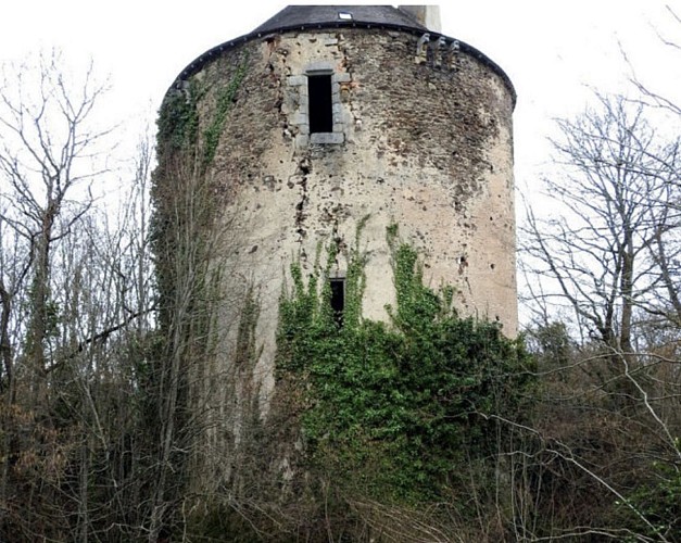 Circuit pédestre : la Tour du Bois Lamy