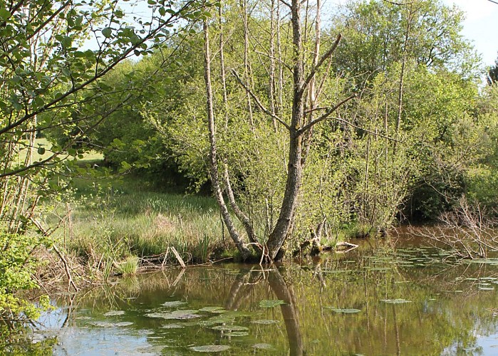 Circuit pédestre n°4 le bois de Derrière