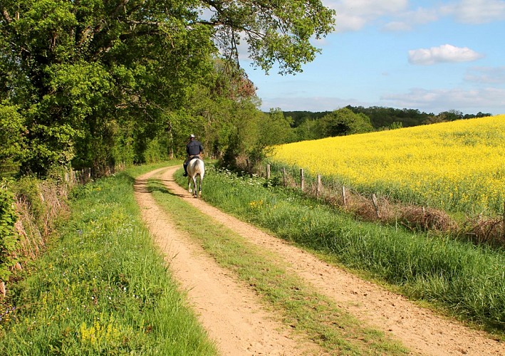 Circuit pédestre n°4 le bois de Derrière