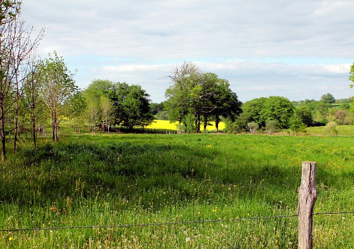 Circuit pédestre n°4 le bois de Derrière