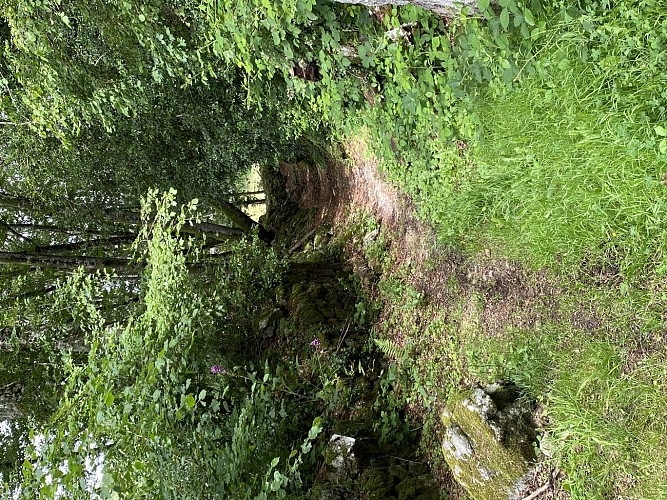 SERMUR-Chemin fifine-MCEA