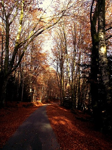 Circuit de randonnée pédestre N°28 Château de Beaumont