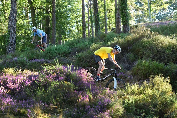 Circuit VTT n°40