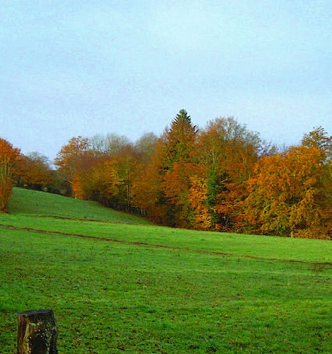 Circuit pédestre Le Gué Cornu VI1