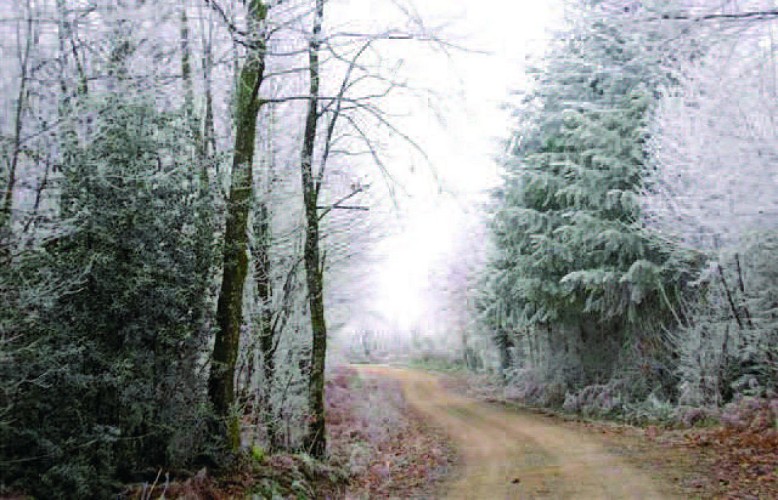 De Pierre et de bois.jpg_1