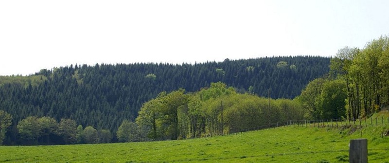 Circuit pédestre Entre bois et vallons DP1