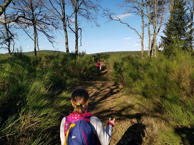Landes et tourbières de la Mazure (11)
