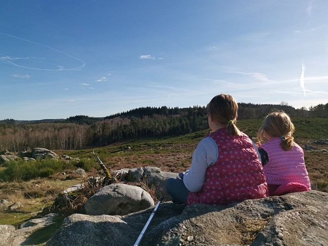 Landes et tourbières de la Mazure (23)