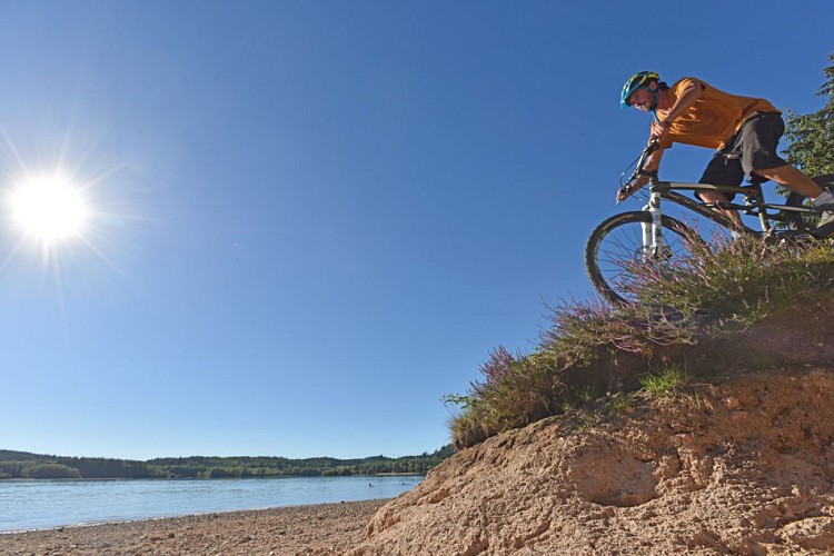 Tour du lac de Vassivière, "Sentier de rives"