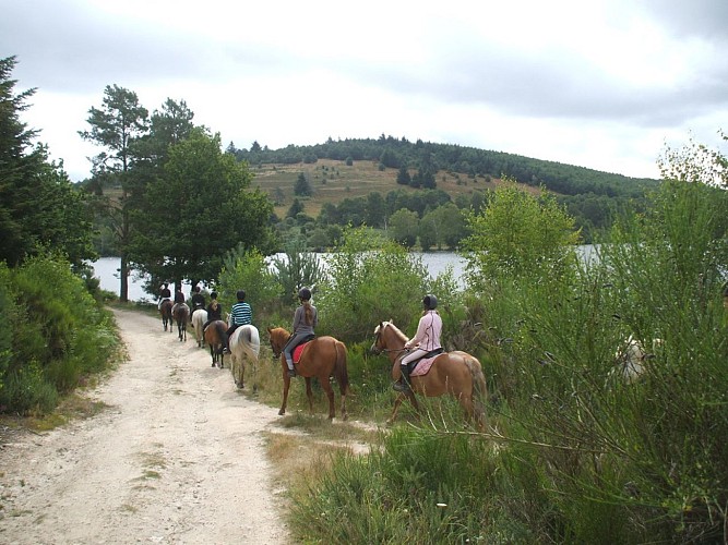 Tour du lac de Vassivière, "Sentier de rives"