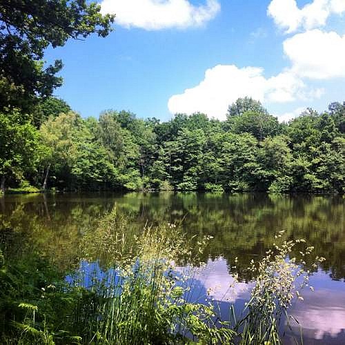 CROCQ_Etang d'Urbe ©ADRT