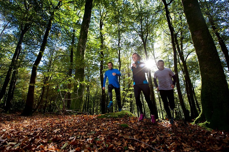 Circuit Trail n°10 : Grand Trail des Monts de Guéret