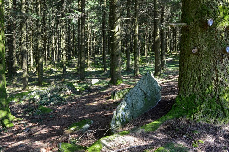 Circuit Trail n°5 : les rochers de Chabrières