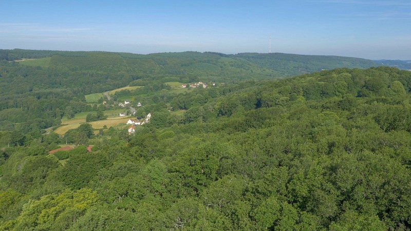 Circuit Trail n°4 : Le puy du Chiroux