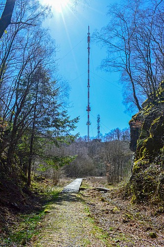 Circuit Trail n°1 : La vergnolle