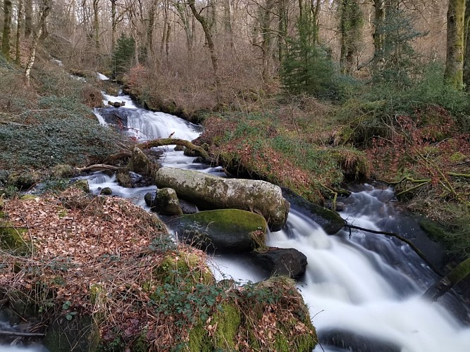 Circuit Pédestre N°56 : "Sentier de découverte des Champs de pierres et cascades d'Augerolles"