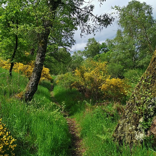 circuitdeBeauvais.jpg_1