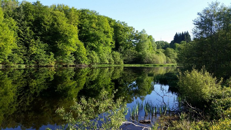 GR de Pays "Cascades, landes et tourbières" GRP65