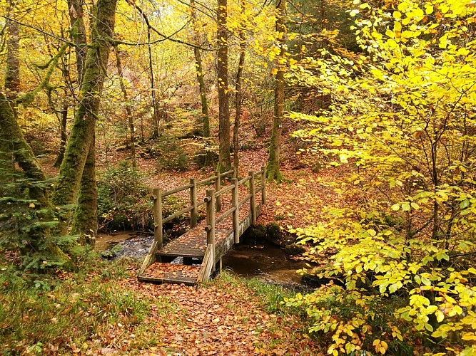GR de Pays "Cascades, landes et tourbières" GRP65