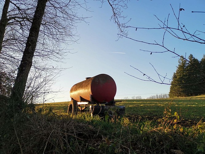 Circuit Pédestre N°60 CC : " Le circuit des pommes"
