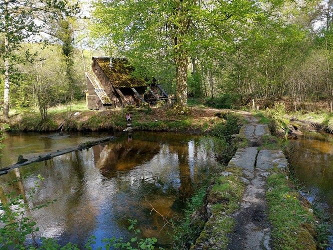 Circuit Pédestre N°53 : "La vallée de la Maulde"