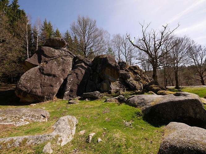 Circuit Pédestre N°21 : "Sentier de découverte de la Rigole du Diable"