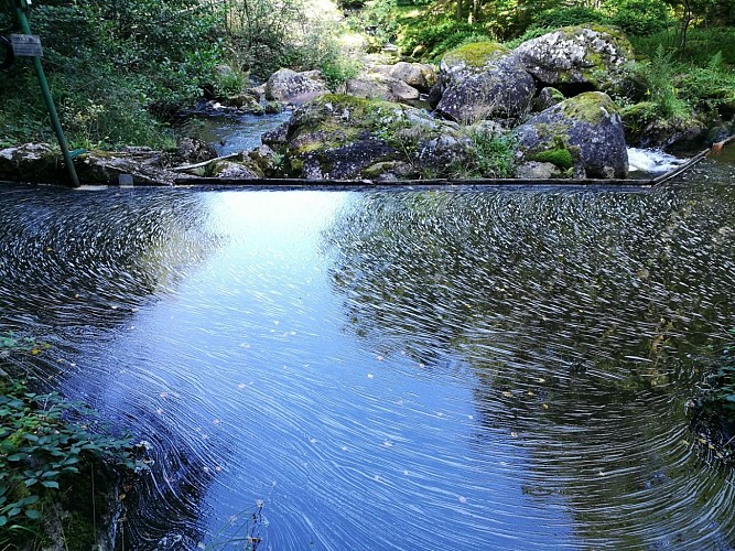 Circuit Pédestre N°21 CC : "Sentier de découverte de la Rigole du Diable"