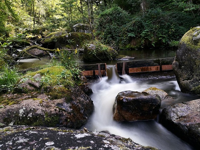Circuit Pédestre N°21 CC : "Sentier de découverte de la Rigole du Diable"