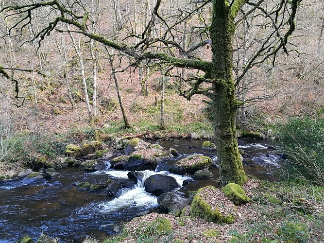 Circuit Pédestre N°21 CC : "Sentier de découverte de la Rigole du Diable"