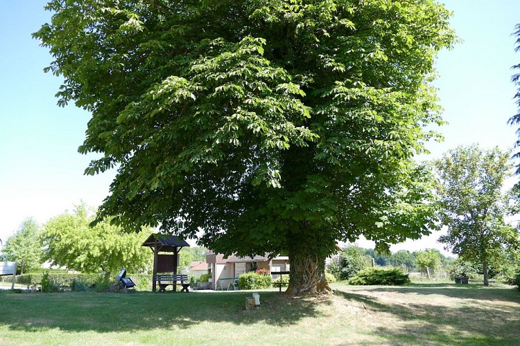 Circuit de randonnée Par Monts et par Vergnes