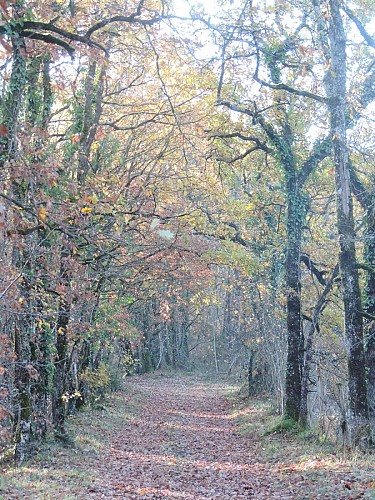 intersection_10_après5 2