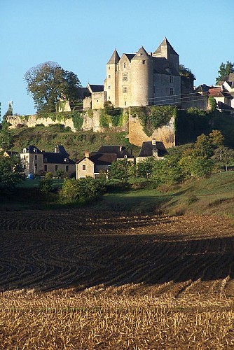 Château de Salignac 2