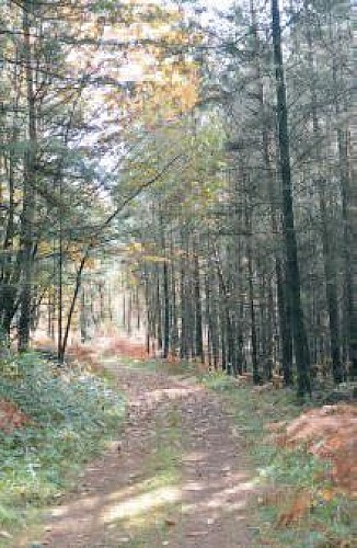 Paysage-onglet-general