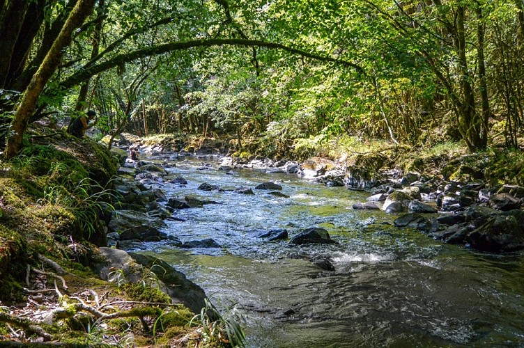 gorges-auvézère-rivière1