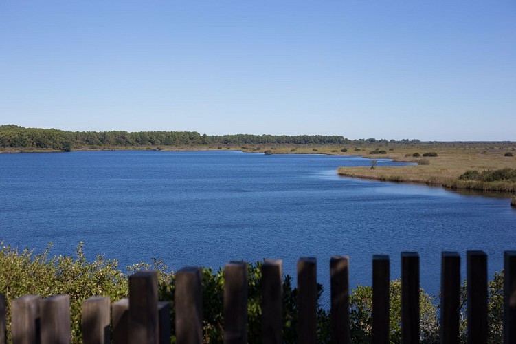 Belvedère Etang de Cousseau - © David Remazeilles (1)