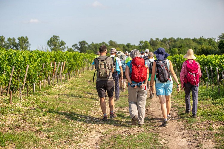 53013193723_d901645940_c