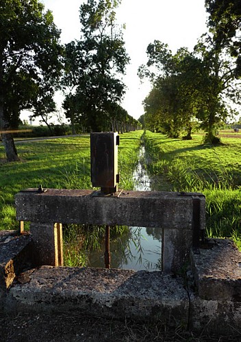 Sentier d'interprétation St Julien Beychevelle De l'Estuaire à la Vigne 2021-BAT