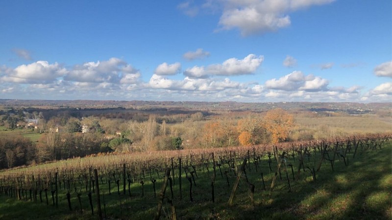 Vue sur Flaujagues