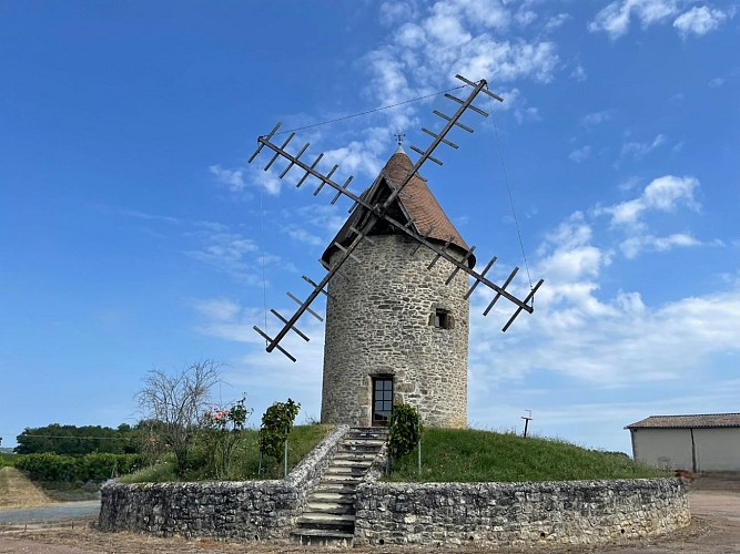 Sainte-Radegonde©Office de Tourisme Castillon-Pujols_CM 2023  (40)-PhotoRoom
