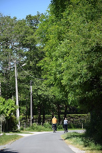 Chemin de Saint-Jacques-de-Compostelle@medoc-atlantique-tourisme_0411