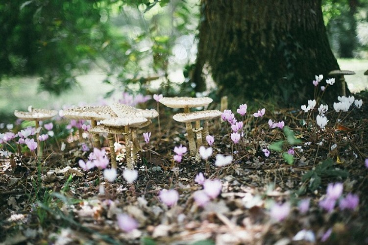 Parc MGEN - nature - Arès © Grégory Cassiau - Les Conteurs -