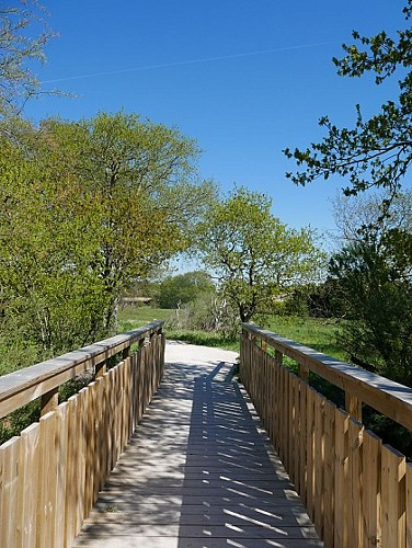 chemin des lapins - nature - arès - bassin arcachon ©Aurélie Lartigue - Office de Tourisme Arès (2) -