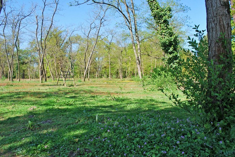 Bois d'Arboudeau©Ville de Parempuyre (FILEminimizer)