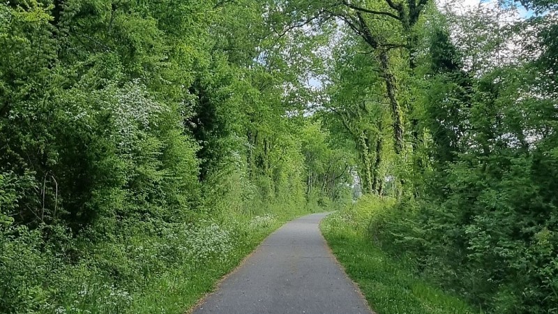 Boucle du Pape - Chemin