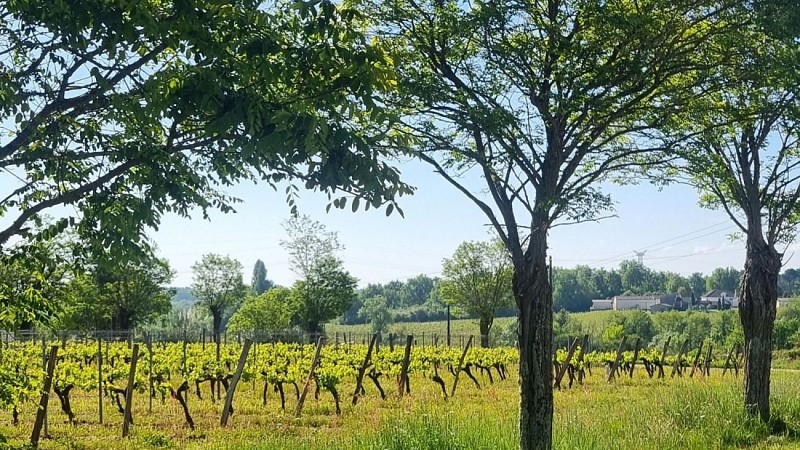 Boucle du Pape - Point de vue 