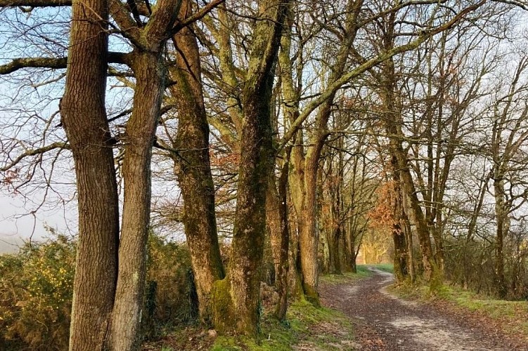 Rando Tresses ancien chemin