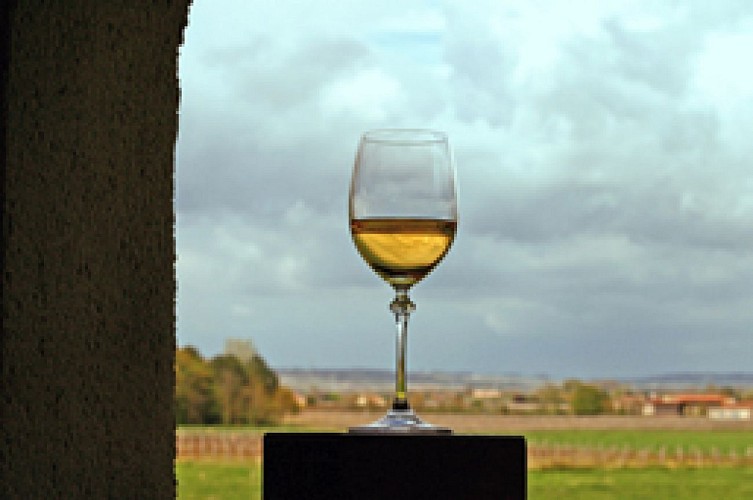 Petite boucle au coeur du vignoble de Sauternes