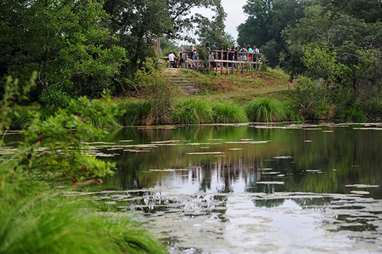 A Bostens, petit circuit des 9 fontaines